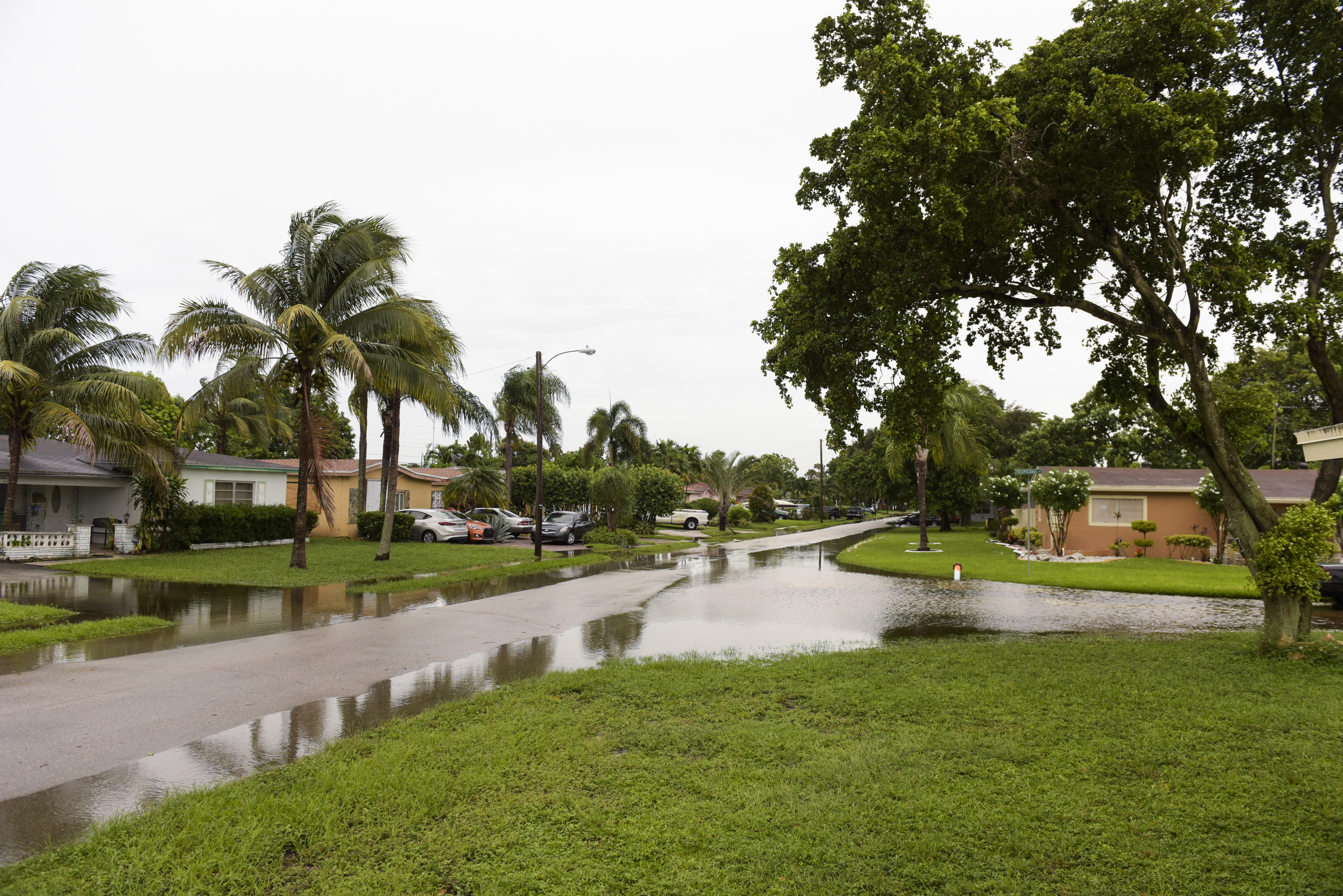 Miramar Street Flooded.jpg