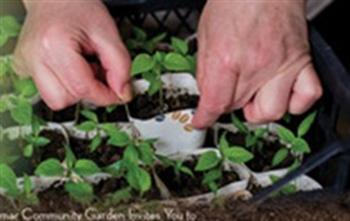 PLantPropagation Website Image